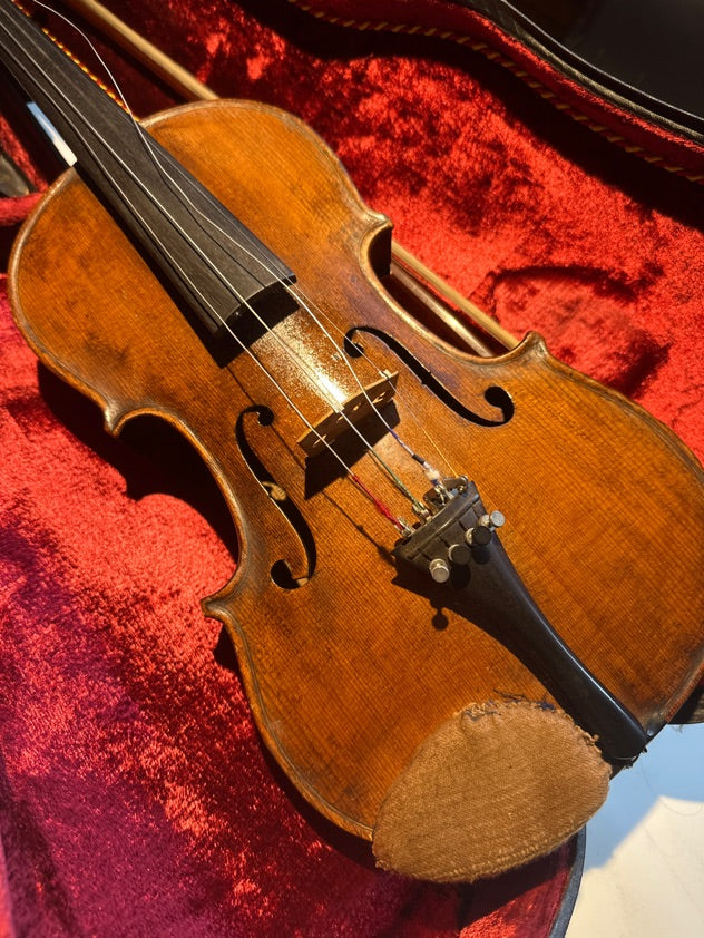 Violin fra Heinrich Moritz Schuster
